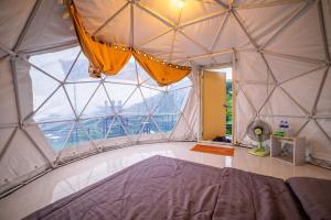 ม่อนหมอกฟ้า ม่อนแจ่ม