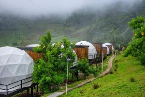 ม่อนหมอกฟ้า ม่อนแจ่ม