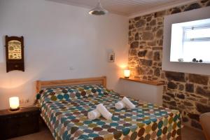 The apricot tree studio