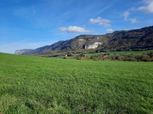 Hotels The Originals City, Hotel Rey du Mont Sion, Saint-Julien-en-Genevois Sud (Inter-Hotel) : photos des chambres