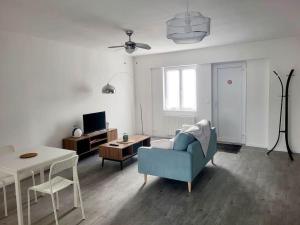 Maisons de vacances L'Appart du Centre : photos des chambres