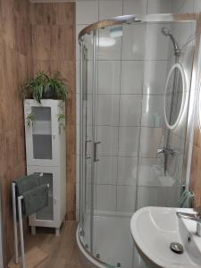 Apartament Jagiełły 14