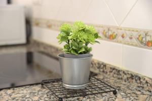 Apartamento Elena - Sólo Familias y Parejas