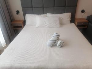 Estudio moderno equipado y luminoso