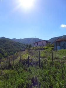 Mini Appartement Colombana