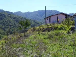 Mini Appartement Colombana - Pallerone