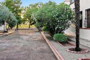 Huerto Valenciano - Sol y Tranquilidad - Piscina