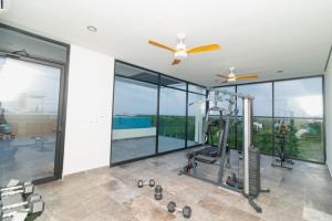 Large spacious and luxurious terrace