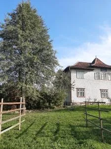 Rivr House Bucovina - 坎普朗莫道尼斯