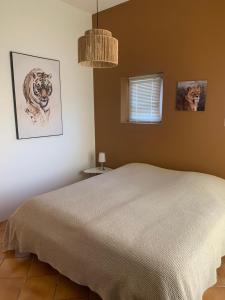 Maisons d'hotes Les Palmiers : photos des chambres