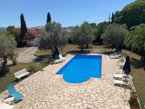 Les Palmiers - Les Serres