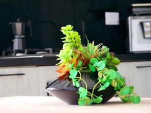 Paradise Room Rialto Residences