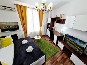 Central Old City Center Studio Universitate Coltea - CAV9