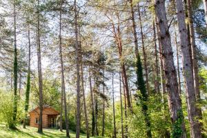 Maisons de vacances Au Pre de l'Arbre : Chalet 2 Chambres