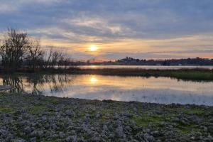 CAN JAUME 1921 Plaza Perpinyà ,21