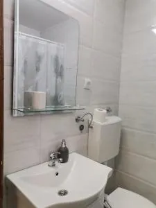 Apartman Petrov Pancevo - Crepaja