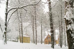 Maisons de vacances Au Pre de l'Arbre : photos des chambres