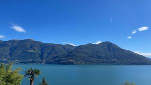 Swiss Blue Residence-Lake View