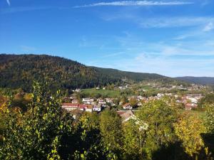 Chalets Chalet le Petit Coeur : photos des chambres