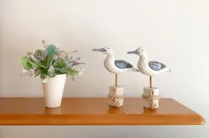 Buzio e Mar - 普拉亚-达罗沙