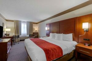 Comfort Inn Mount Vernon Downtown