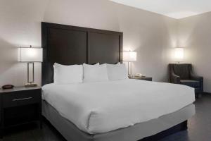 Standard King Room - Non-Smoking  room in Comfort Inn & Suites Greer - Greenville