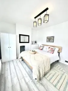 Spacious Modern Victorian House in Rochester - Wainscot