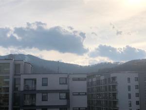 Apartament pod Szyndzielnią Green room 43