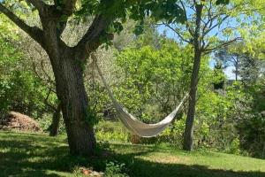 Maisons de vacances Quiet Farmhouse in Draguignan with Private Swimming Pool : photos des chambres