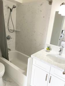 Hawaiian monarch cozy studio