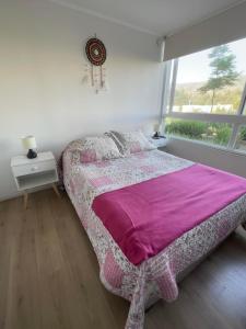 Haydeé Lomas de Papudo IV