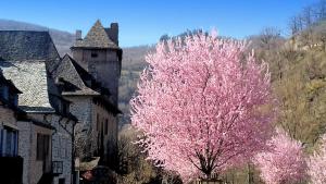 Appartements L'Oustalou - Gite entre Lot et Truyere : photos des chambres