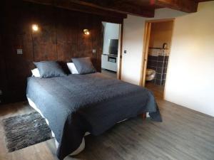 Maisons de vacances Gite Castelnau-de-Mandailles, 2 pieces, 4 personnes - FR-1-601-376 : photos des chambres