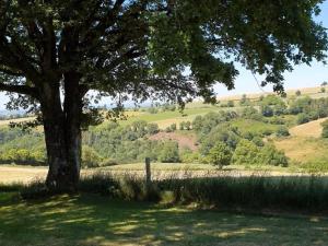 Maisons de vacances Gite Rieupeyroux, 5 pieces, 8 personnes - FR-1-601-419 : photos des chambres