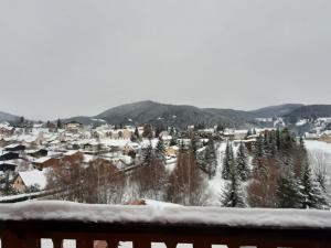 3 pièces à Villard-de-Lans, 4 pers, central - FR-1-515-159