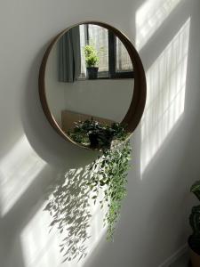 Auberges de jeunesse YASI Hostel : photos des chambres