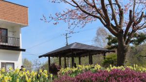 富良野 Coro Coro 2つ星 宿泊施設 ロビー