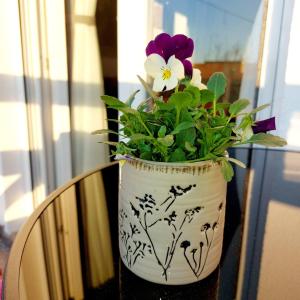 Apartman Krinka