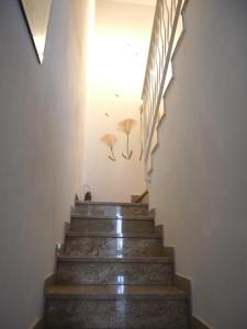 Maisonette