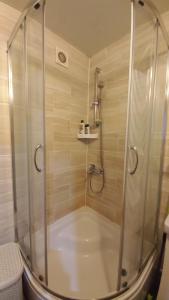 Однокімнатна квартира на вулиці Володимира Великого 22