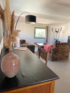 Residence ANTONIA Appartements avec piscine commune - centre ville Calvi : photos des chambres