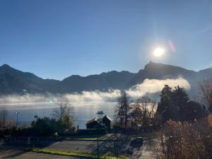 obrázek - Ferienwohnung Traunkirchen mit Seeblick