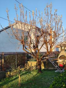 Casa vacanza SERENDIPITY HOME