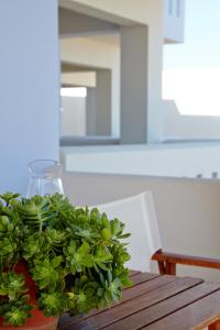 Amarandos Sea View Apartments Chios-Island Greece