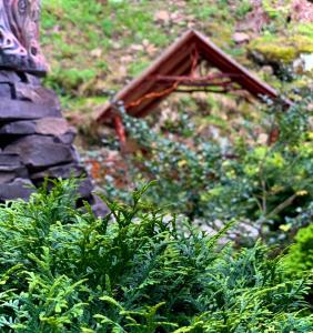 Апартаменти з 2 спальними кімнатами