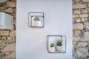 Le Mika - Calme Elégant - VCA