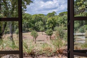 Maisons de vacances BASTIDE DE LA JULIENNE : Suite Deluxe avec Lit King-Size