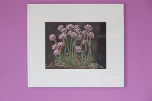 Inselzauber - Strandnelke