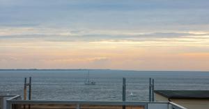 Kalfamer 39