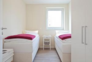 Inselzauber - Strandflieder